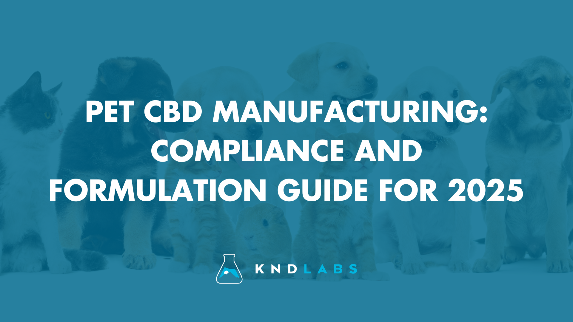 Pet CBD Manufacturing - KND Labs
