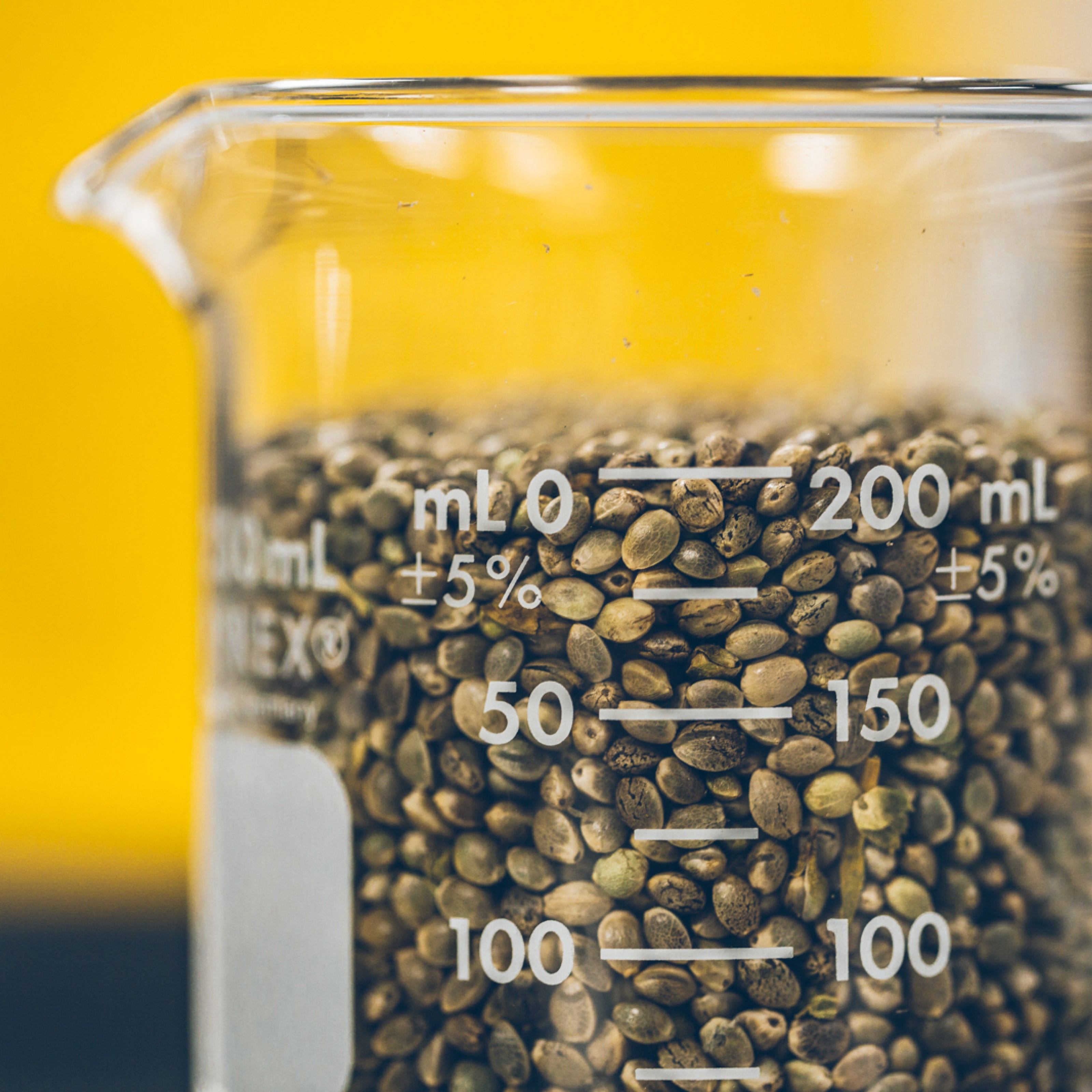 Beaker filled with hemp seeds