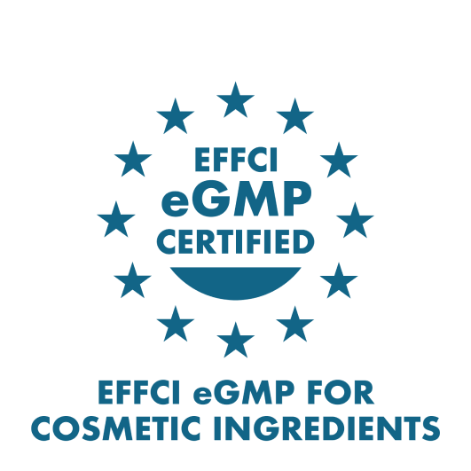 EFCI eGMP for cosmetic ingredients icon certification