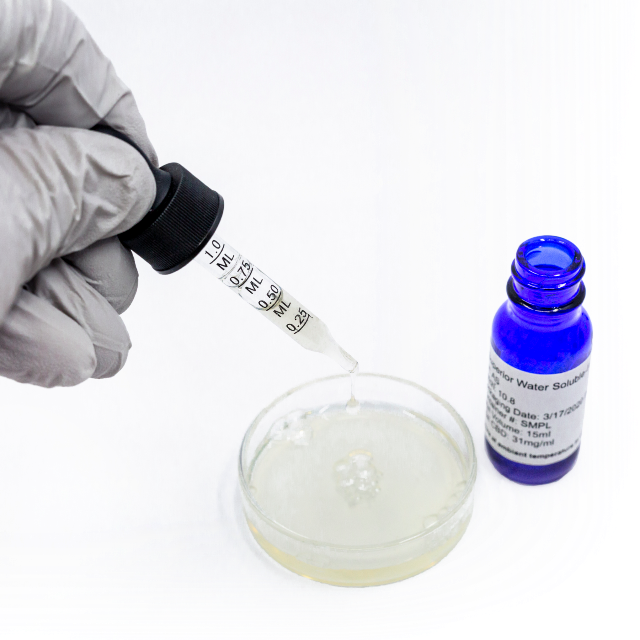 Gloved hand using viable dropper to drip liquid into petri dish