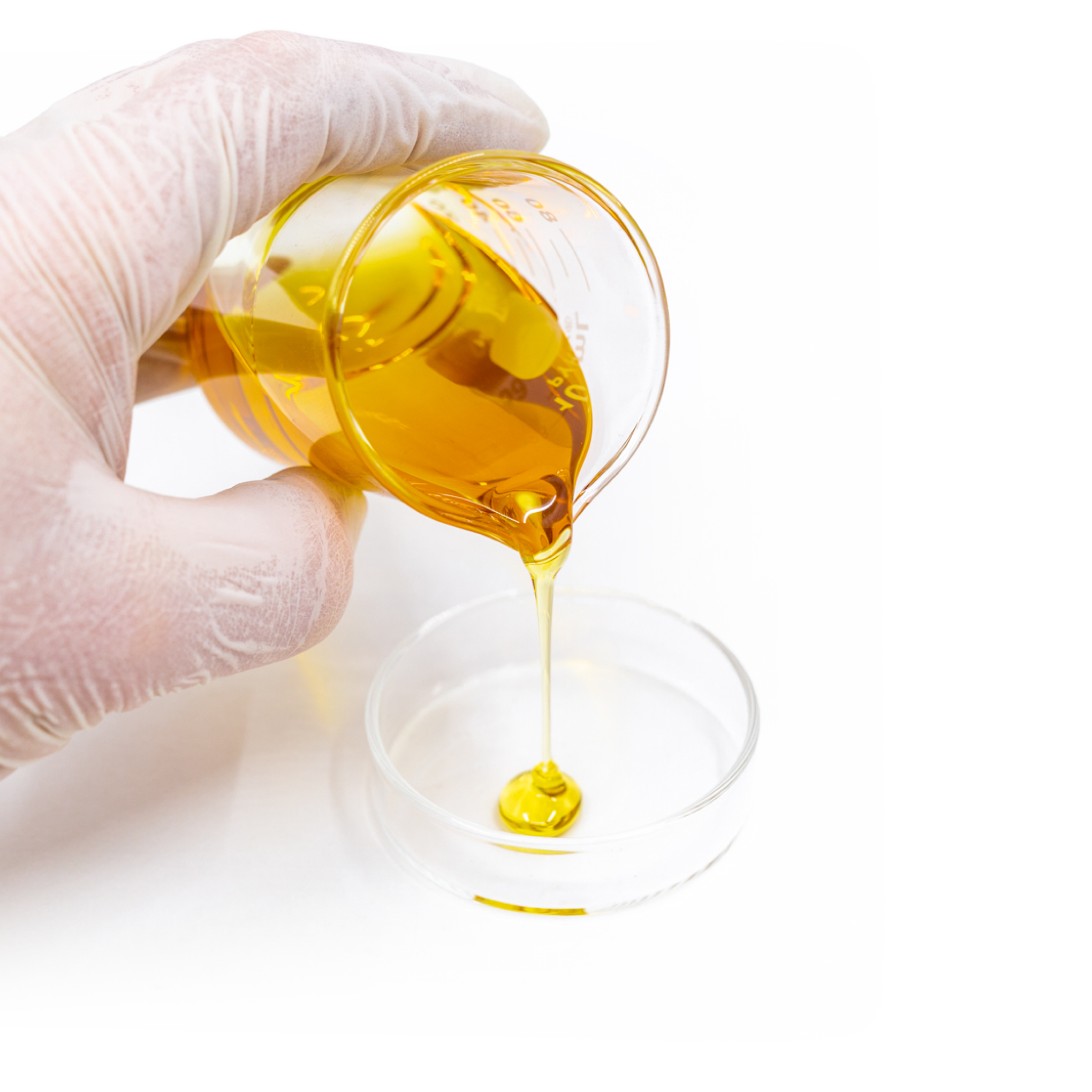 Gloved hand pouring amber liquid out of beaker into petri dish