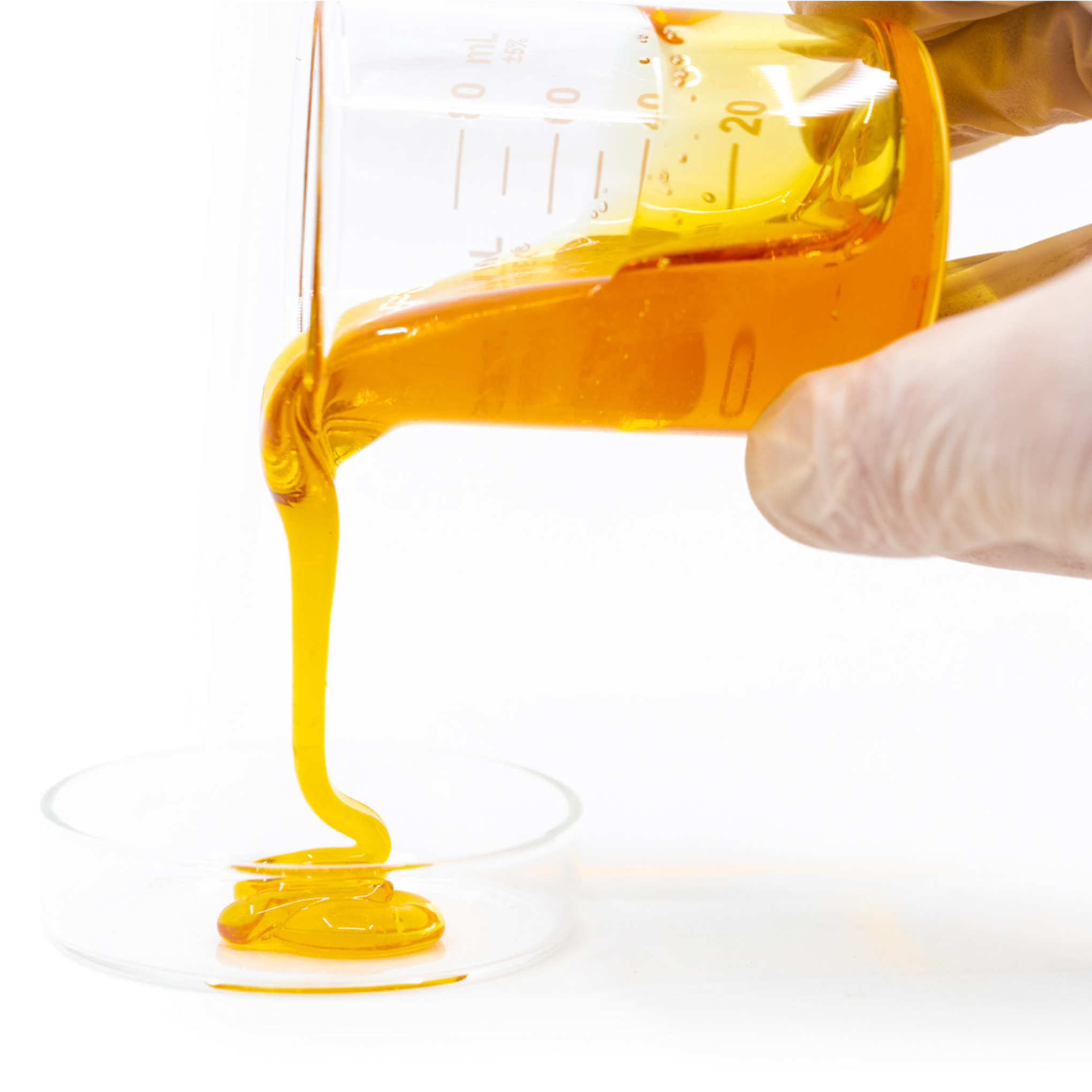 Pouring amber colored liquid out of beaker into a petri dish