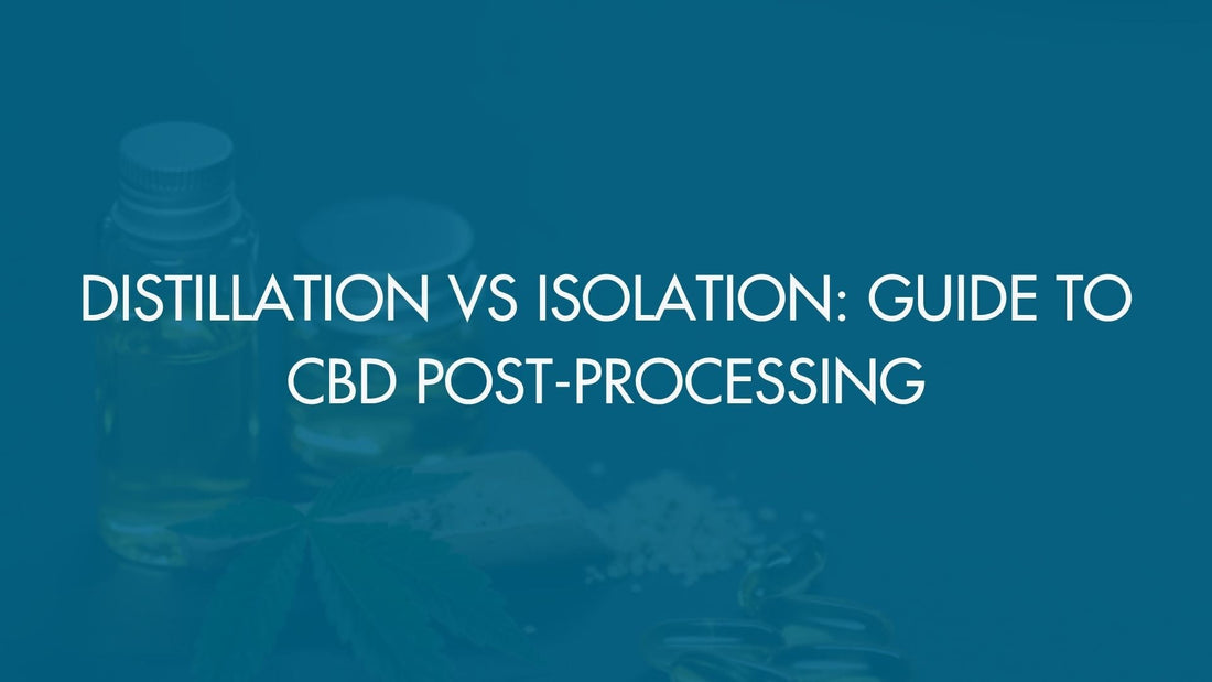 Distillation vs Isolation: Guide to CBD Post-Processing