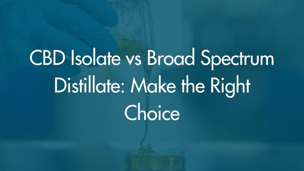 CBD Isolate vs Broad Spectrum Distillate: Make the Right Choice
