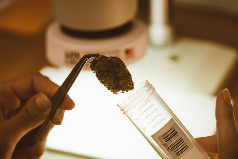 THCV Ingredient Sourcing: Specs, Compliance & Formulation | KND Labs