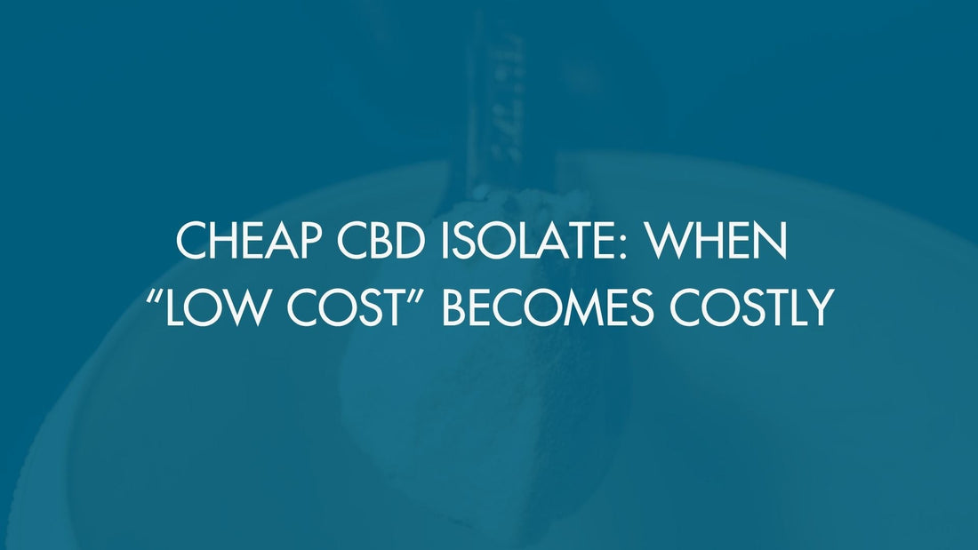 Cheap CBD Isolate: When “Low Cost” Becomes Costly