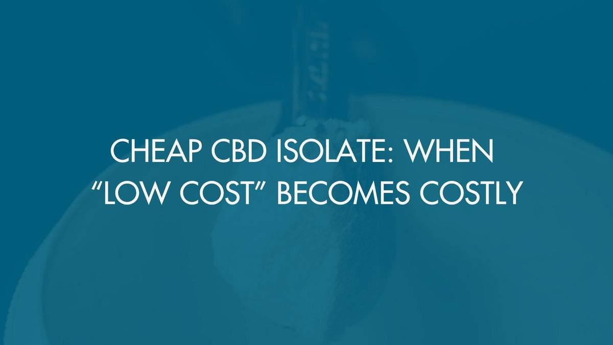 Cheap CBD Isolate: When “Low Cost” Becomes Costly
