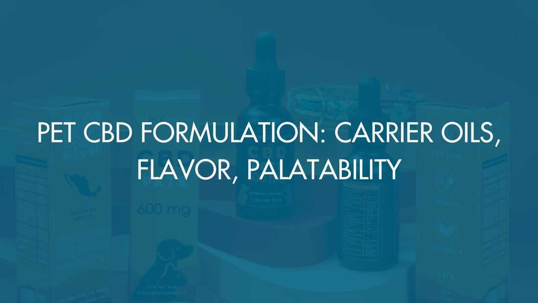 Pet CBD Formulation: Carrier Oils, Flavor, Palatability