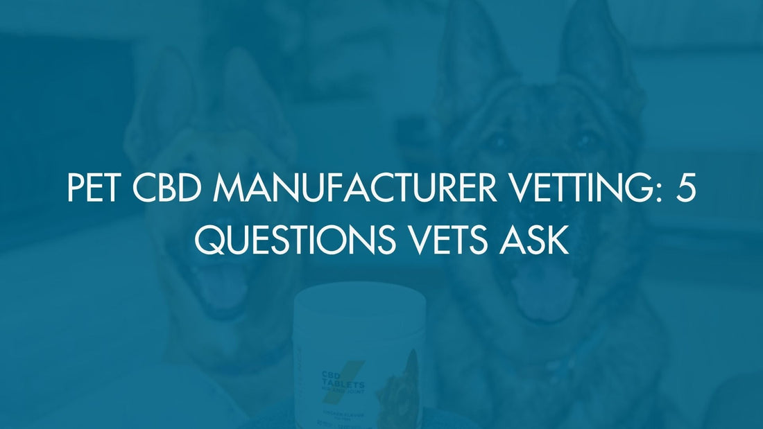 Pet CBD Manufacturer Vetting: 5 Questions Vets Ask