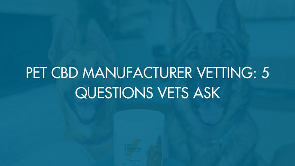 Pet CBD Manufacturer Vetting: 5 Questions Vets Ask