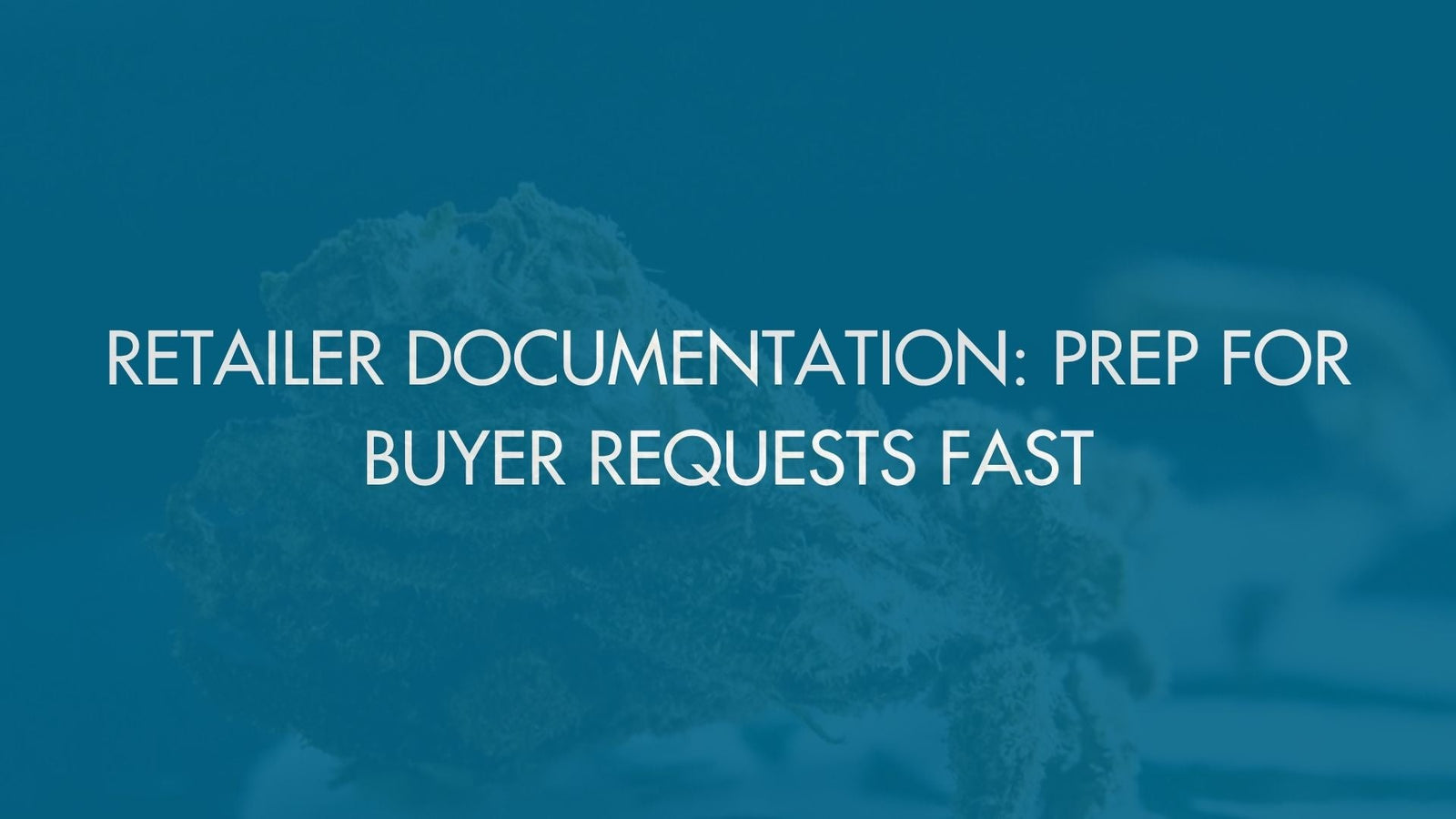 Retailer Documentation: Prep for Buyer Requests Fast