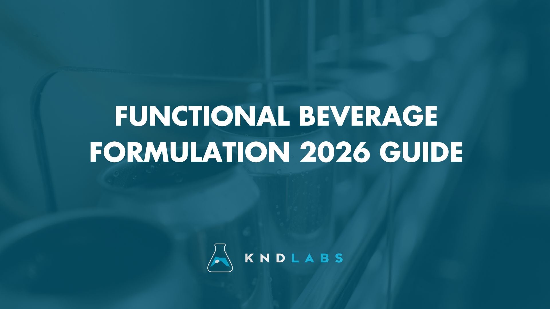 Functional Beverage Formulation 2026 Guide