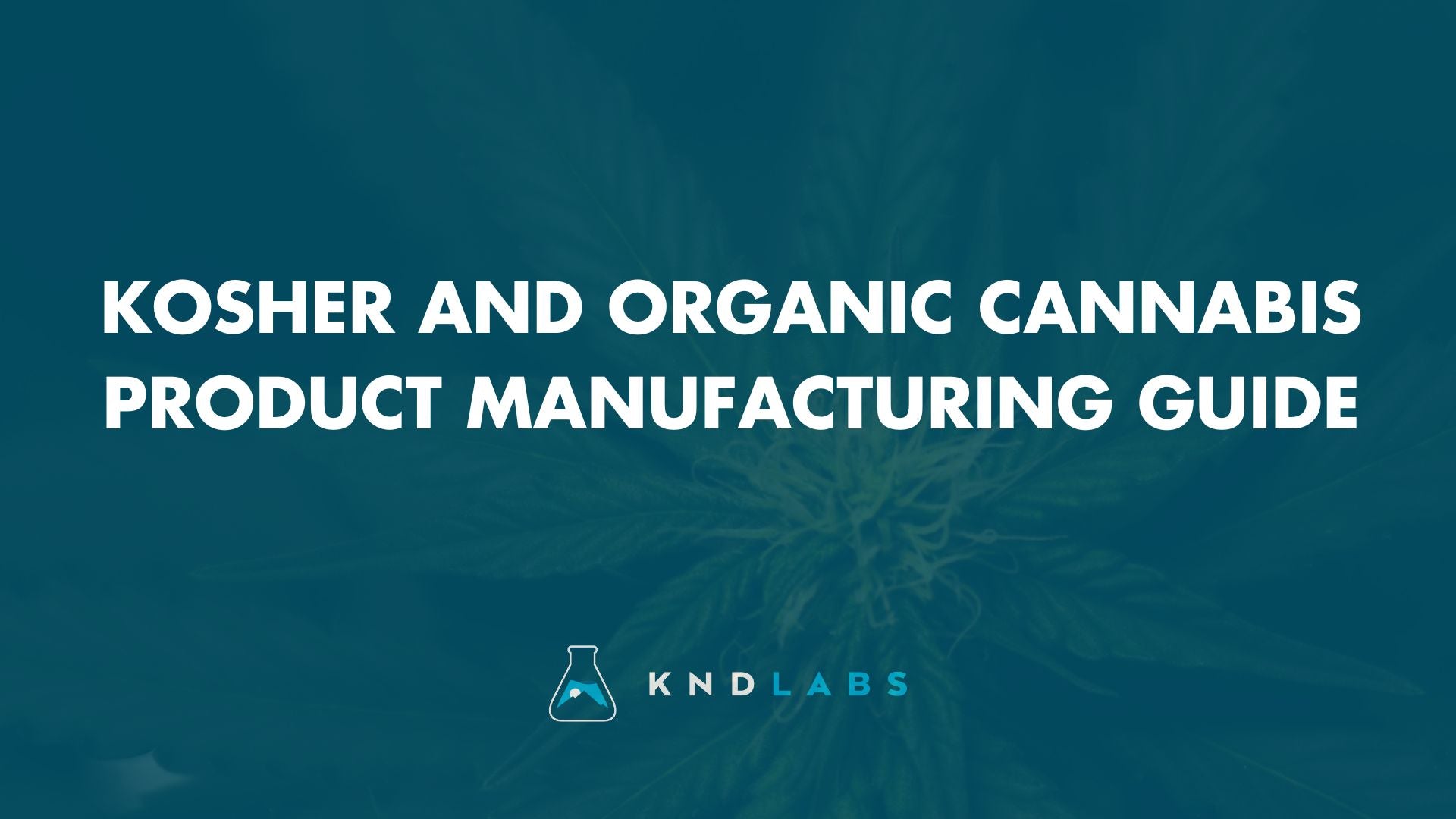 Kosher and Organic Cannabis Product Manufacturing Guide