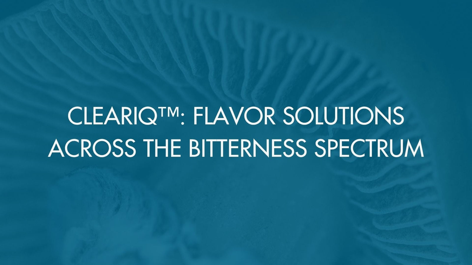 ClearIQ™: Flavor Solutions Across the Bitterness Spectrum