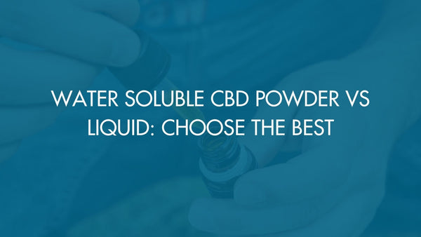 Water Soluble CBD Powder vs Liquid: Choose the Best