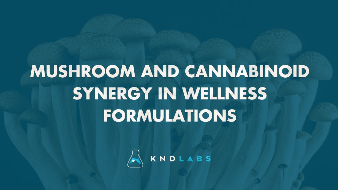 Mushroom and Cannabinoid Synergy in Wellness Formulations