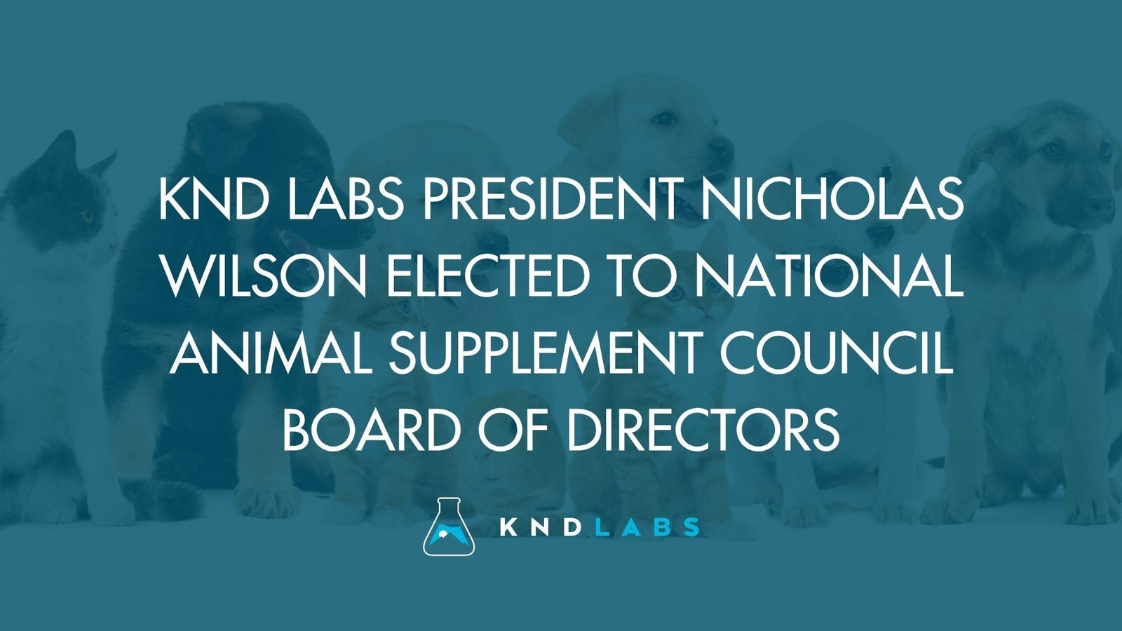 KND Labs President Nicholas Wilson Elected to National Animal Supplement Council Board of Directors