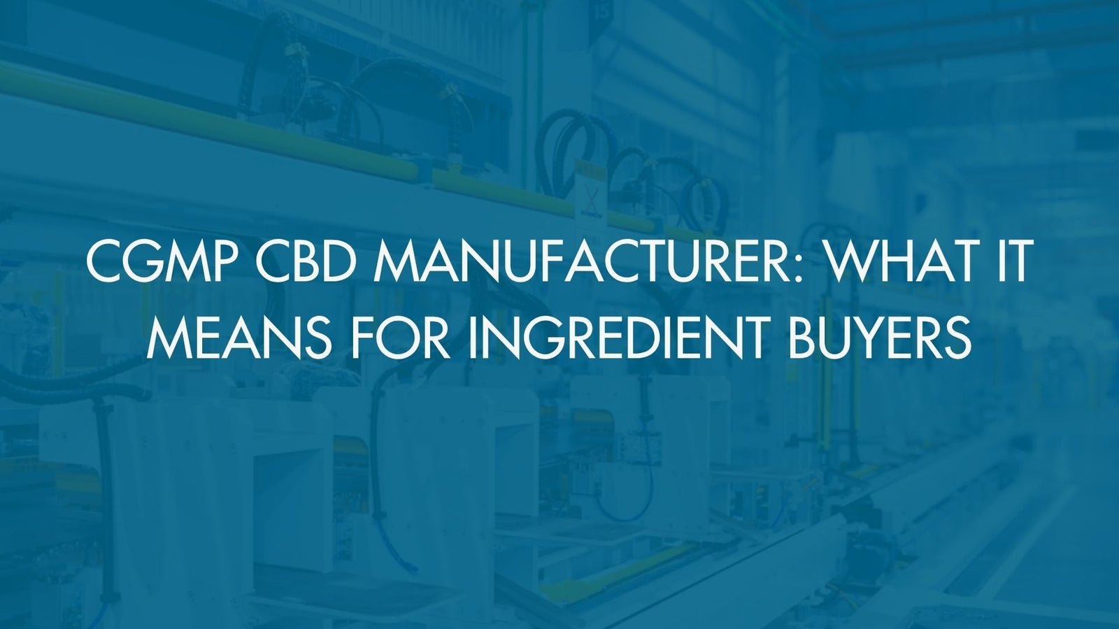 cGMP CBD Manufacturer: What It Means for Ingredient Buyers