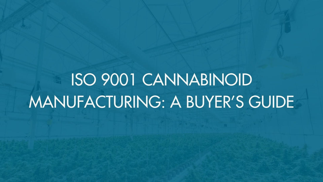 ISO 9001 Cannabinoid Manufacturing: A Buyer’s Guide