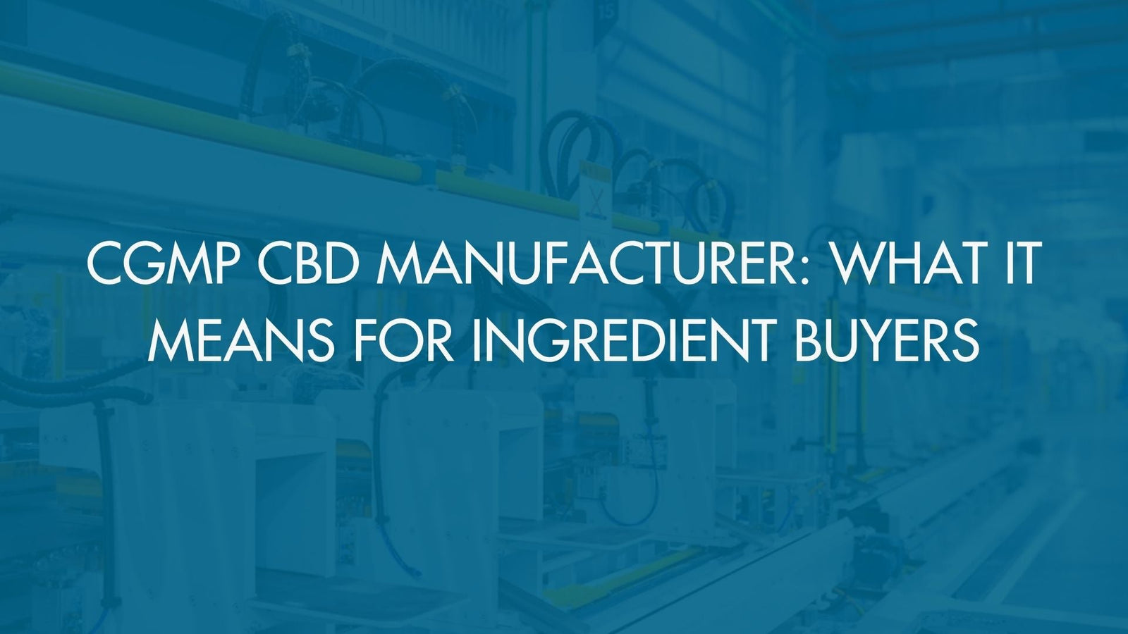 cGMP CBD Manufacturer: What It Means for Ingredient Buyers