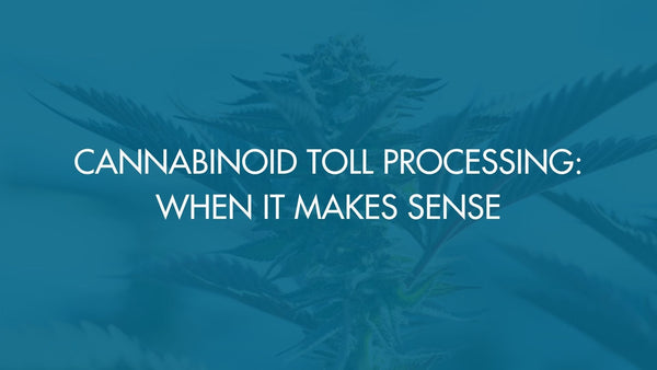 Cannabinoid Toll Processing: When It Makes Sense