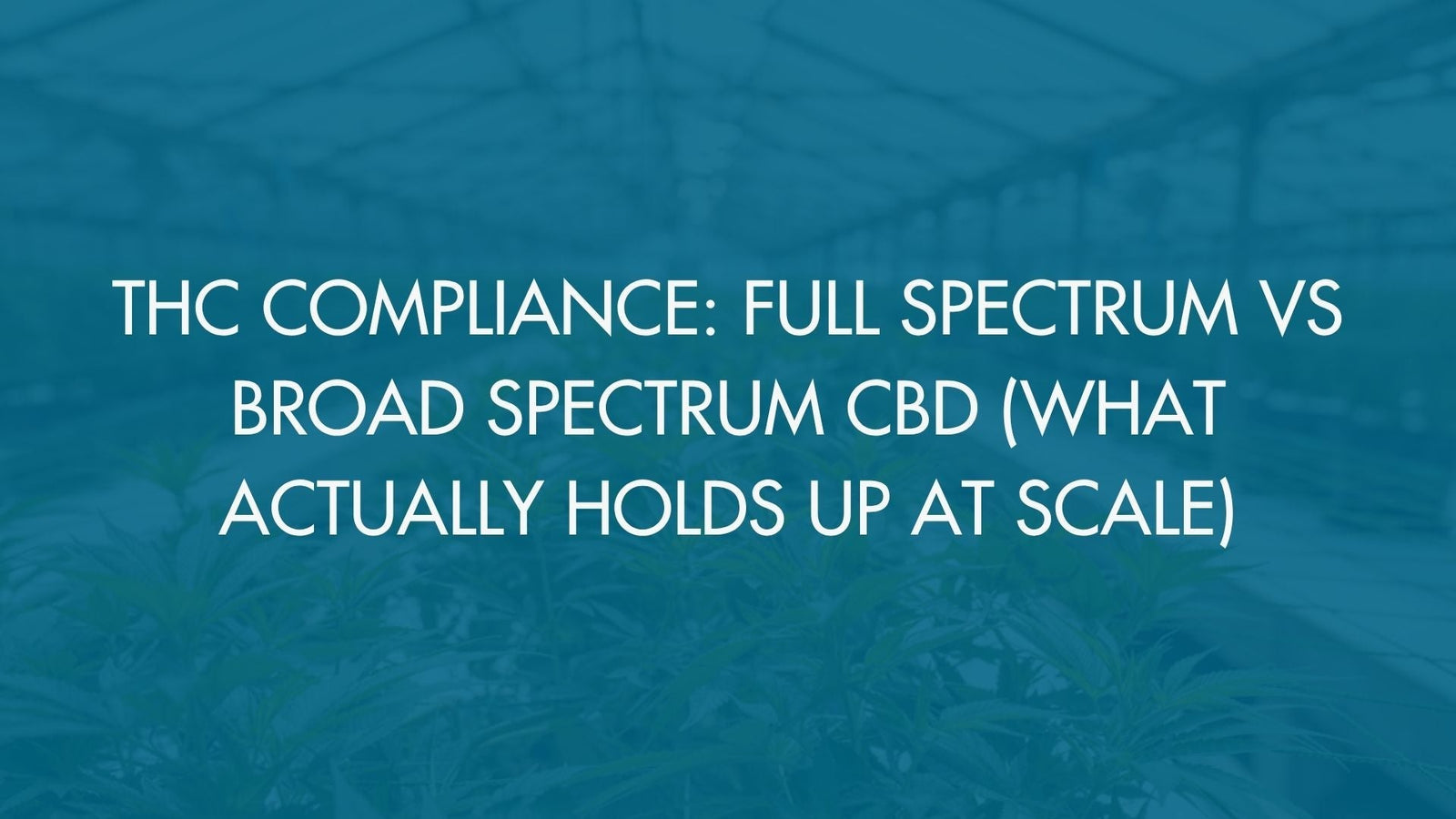 THC Compliance: Full Spectrum vs Broad Spectrum CBD (What Actually Holds Up at Scale)