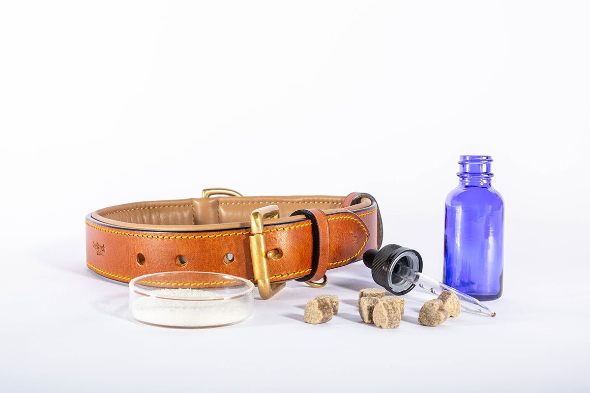 CBD-Infused Pet Products: When Quality Counts - KND Labs