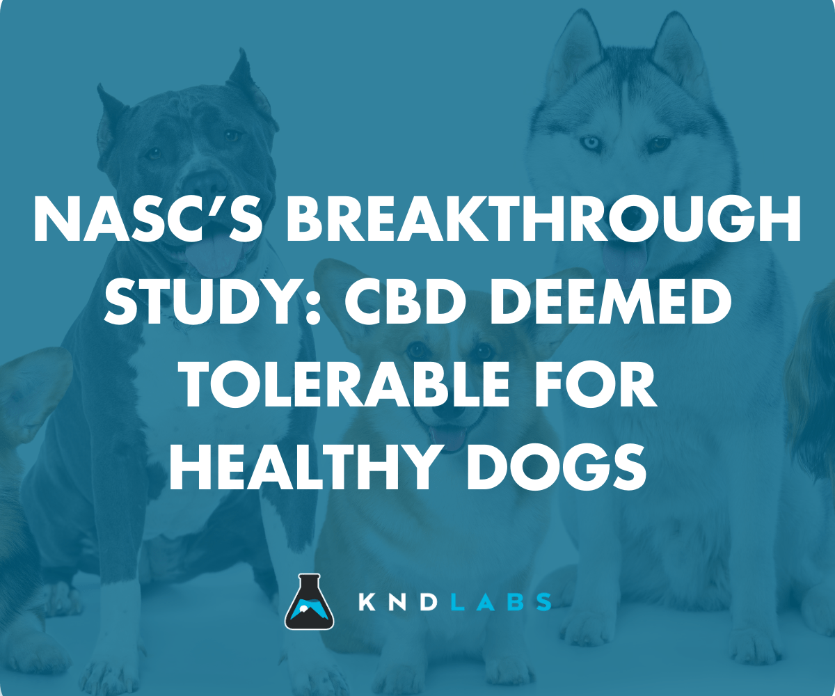NASC’s Breakthrough Study: CBD Deemed Tolerable for Healthy Dogs - KND Labs
