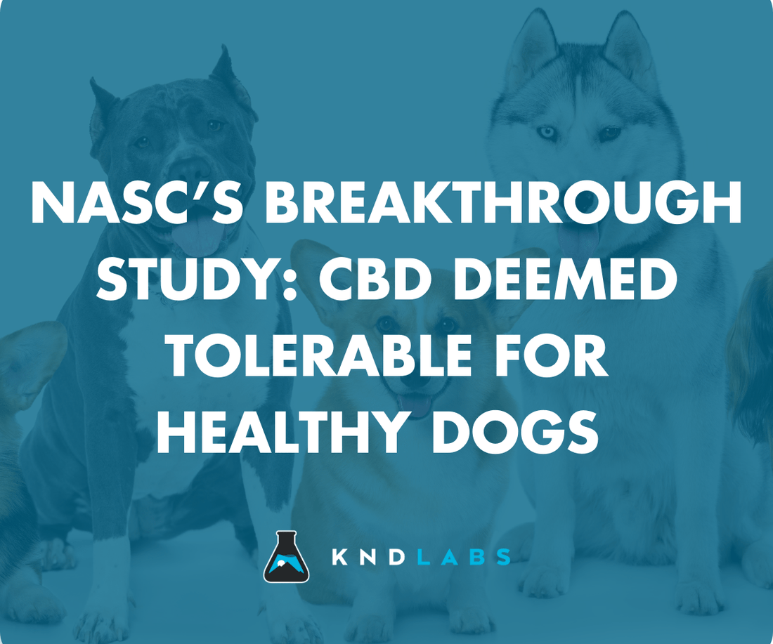 NASC’s Breakthrough Study: CBD Deemed Tolerable for Healthy Dogs - KND Labs