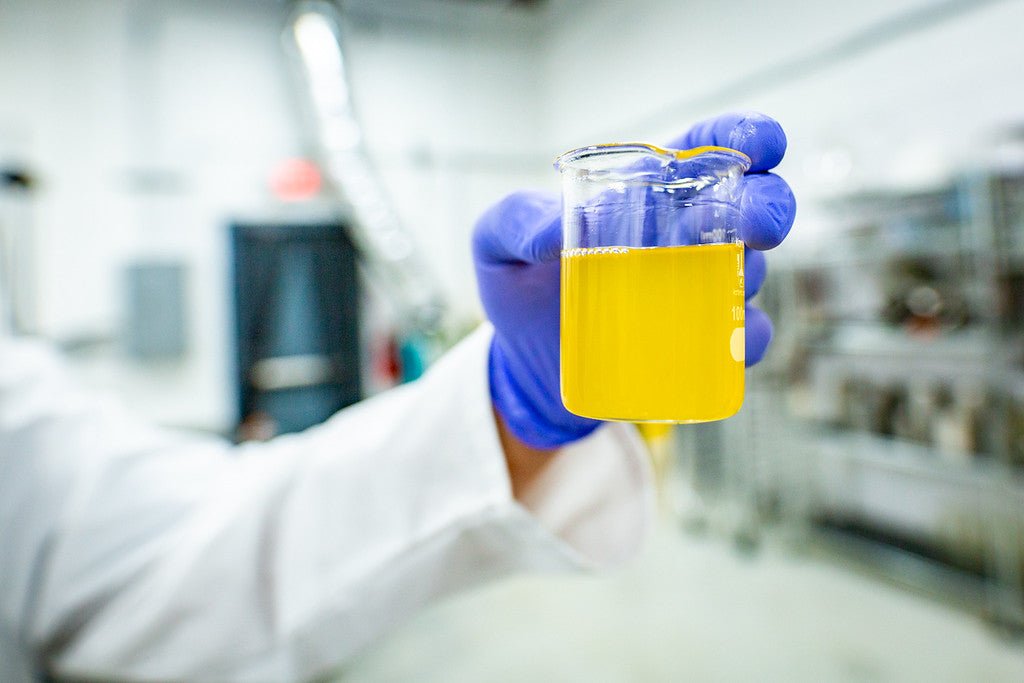 What is CBC Isolate?