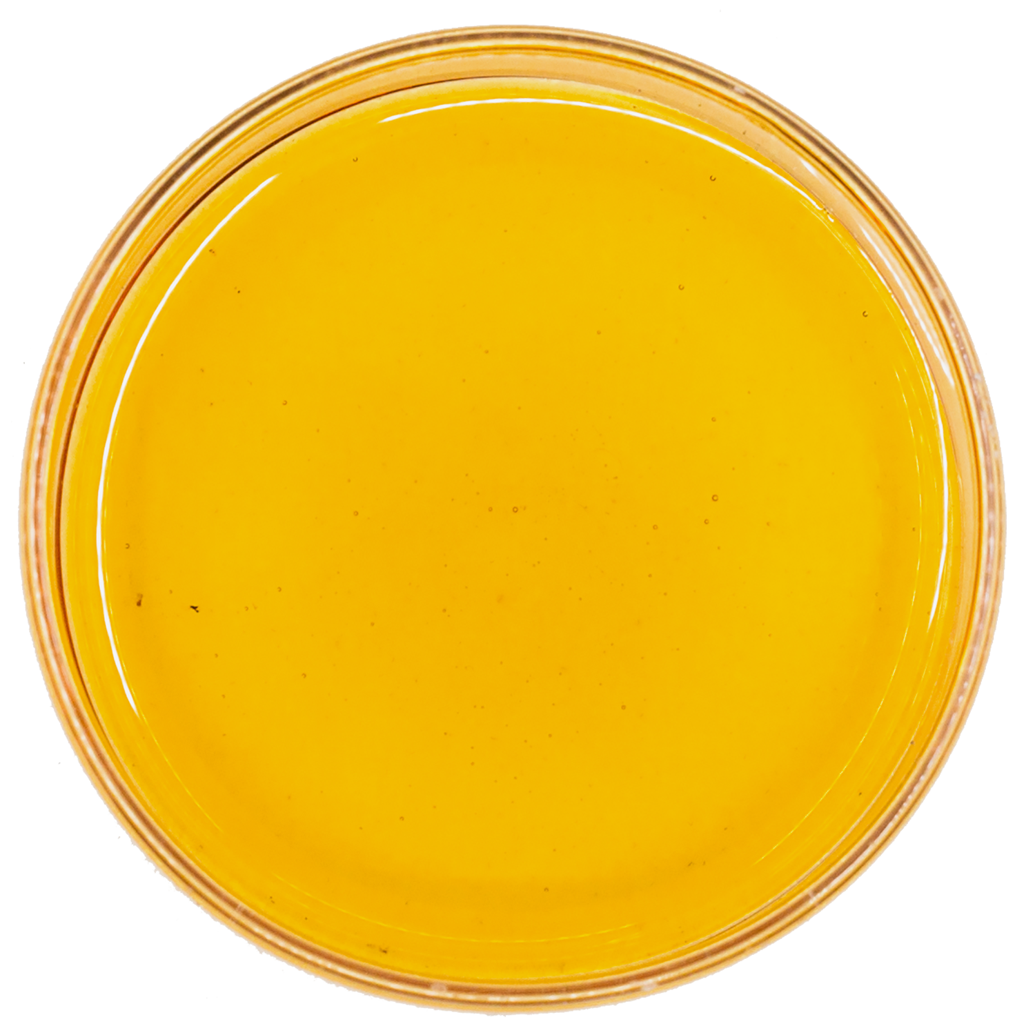Petri dish of amber colored liquid