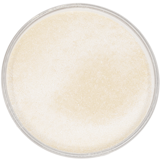 Petri dish of off-white crystal powder