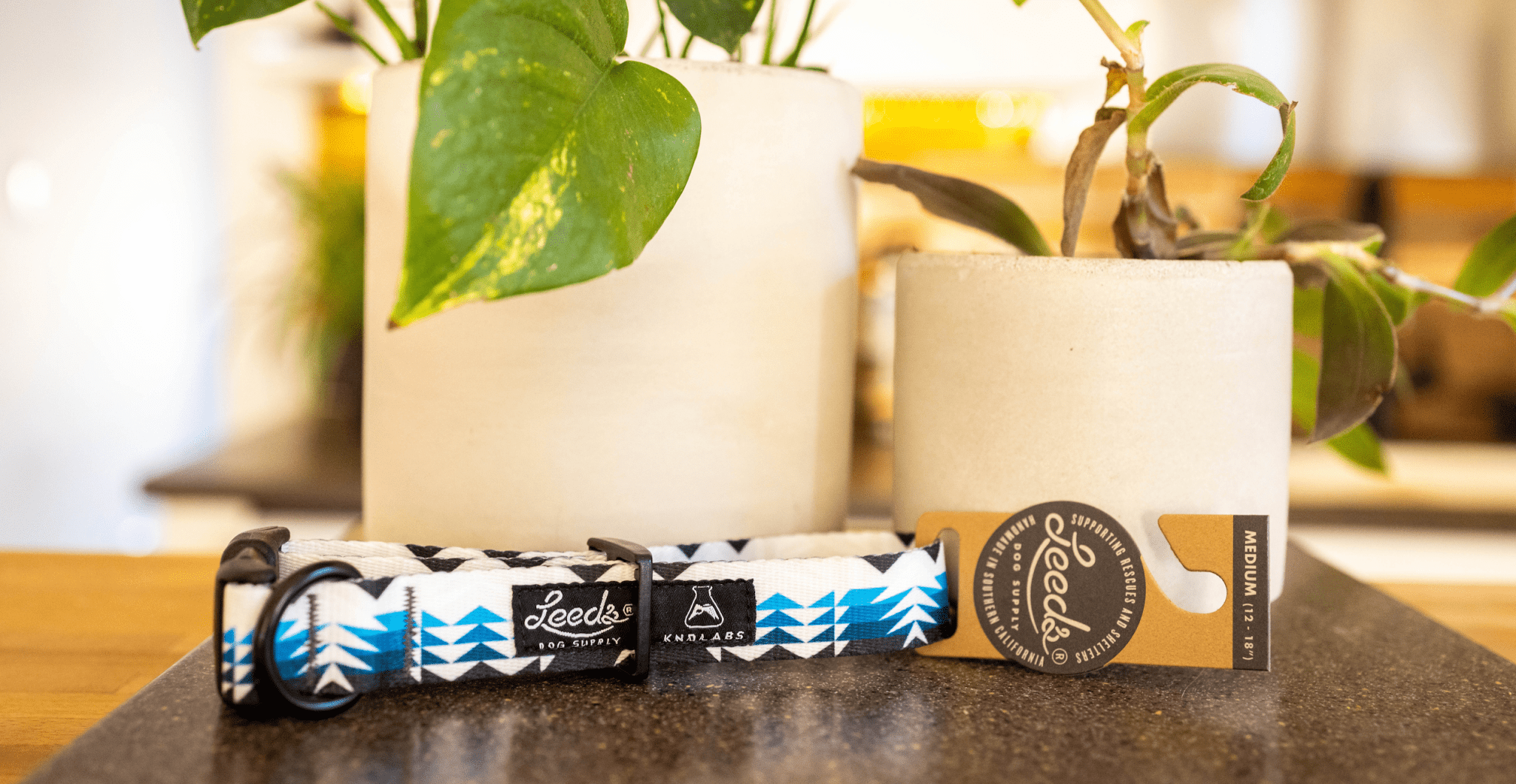 KND Dog Collars - KND Labs