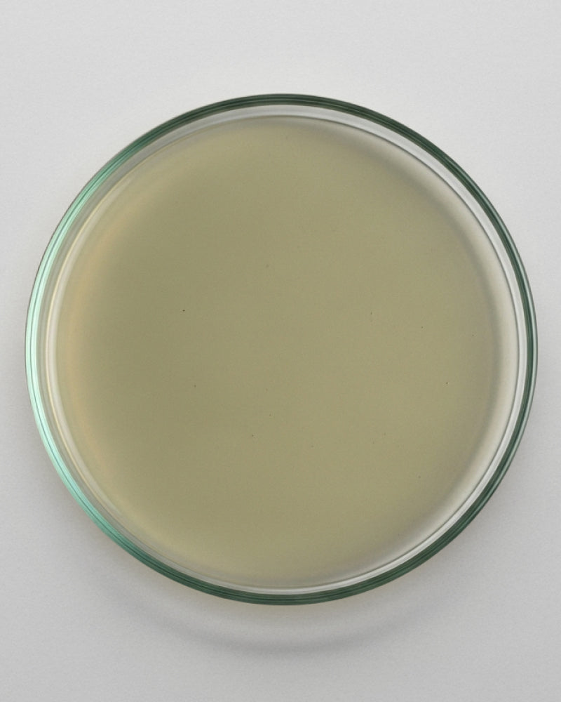 Apex Water Soluble™ Liquid